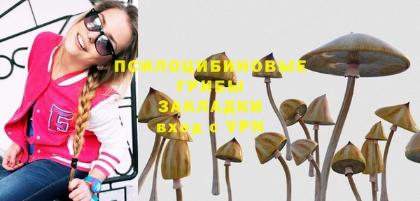 таблы Алзамай